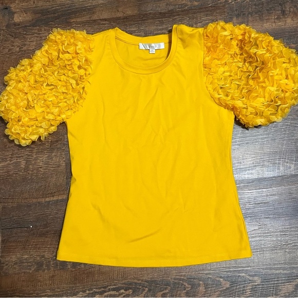ANTHROPOLOGIE FLAT YELLOW SHEER RUFFLE PUFF SLEEVE BLOUSE KNIT TEE TOP Size XS - Picture 3 of 4